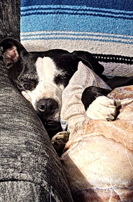 Entry image for Marble. Clicking this image will show a larger photo