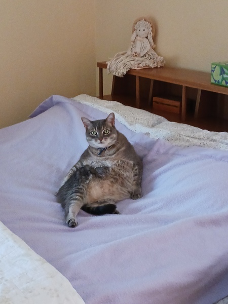 Entry image for Max. Clicking this image will show a larger photo