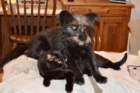 Entry image for Skye & Al. Clicking this image will show a larger photo