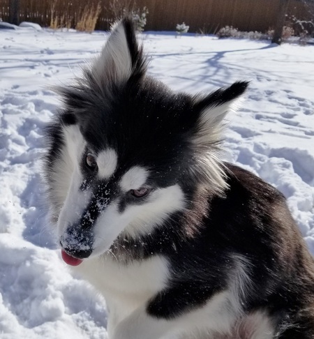 Ellie