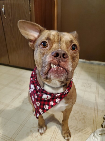 Entry image for Riley. Clicking this image will show a larger photo