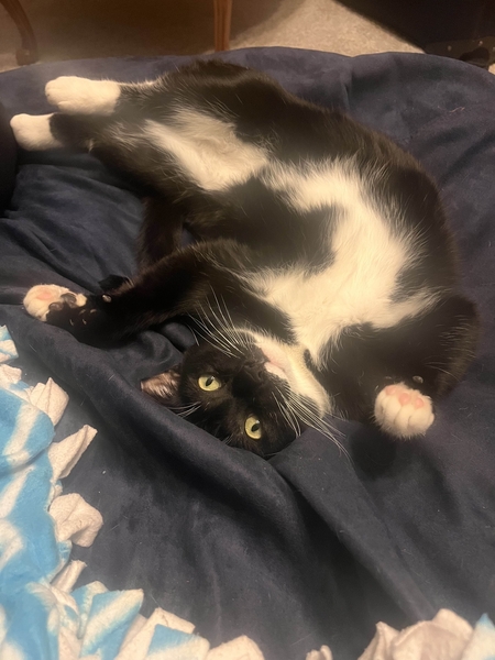 Entry image for Gatsby. Clicking this image will show a larger photo