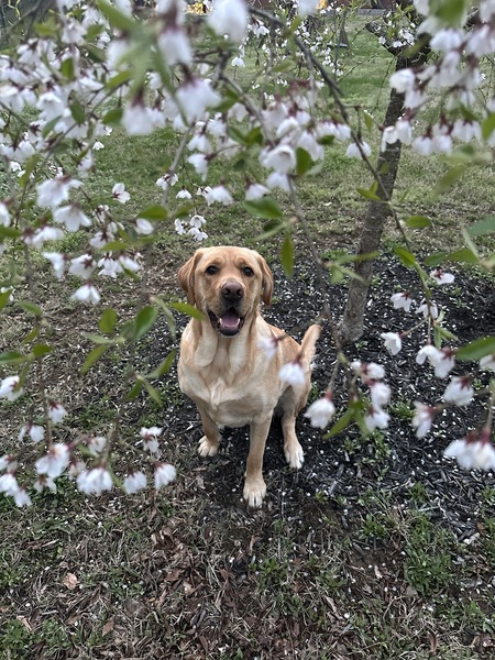 Entry image for Butter. Clicking this image will show a larger photo