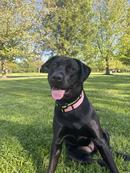 Entry image for Winter. Clicking this image will show a larger photo