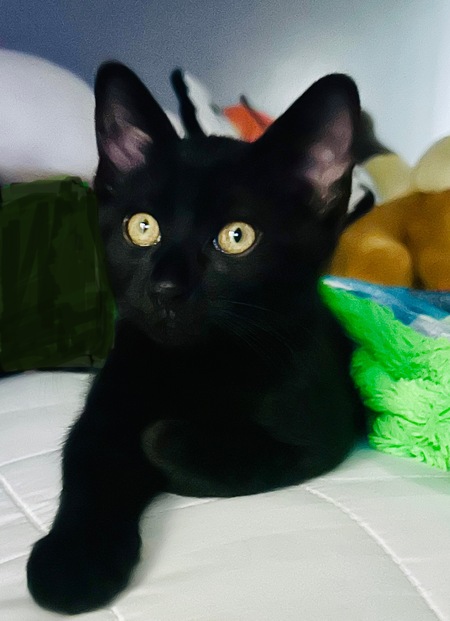 Entry image for Todd. Clicking this image will show a larger photo