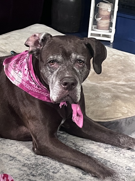 Entry image for Anna. Clicking this image will show a larger photo