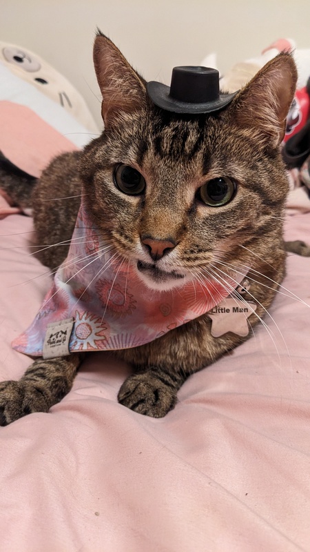 Entry image for Little Man. Clicking this image will show a larger photo