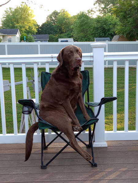 Entry image for Jackson . Clicking this image will show a larger photo