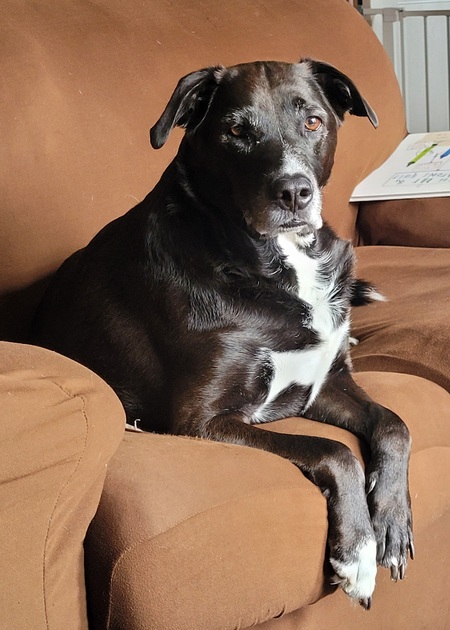 Entry image for Maui. Clicking this image will show a larger photo