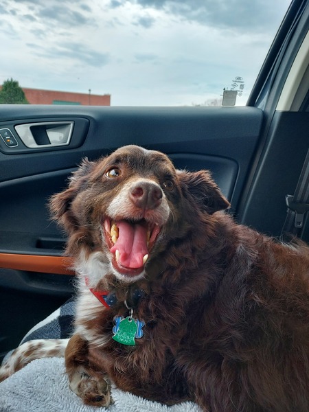 Entry image for Max. Clicking this image will show a larger photo