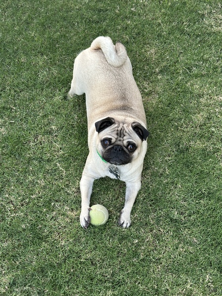 Billy