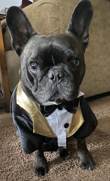 Leo