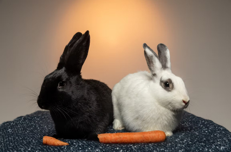 Salt & Pepper