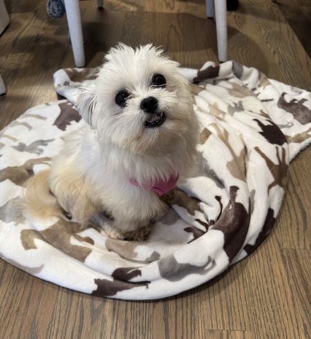 Janis (Winnie) 