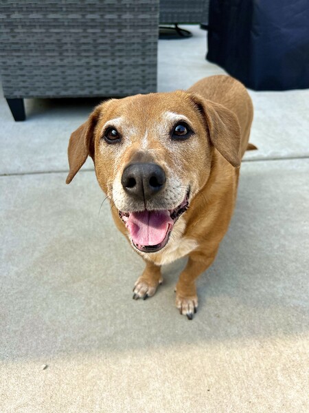Ernie