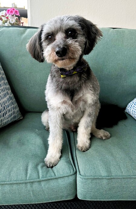 Monty