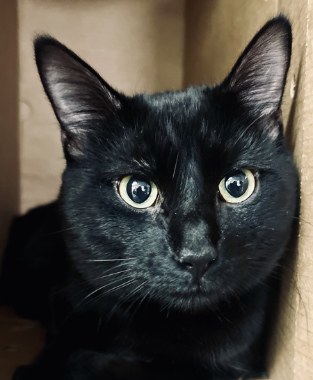 Oliver