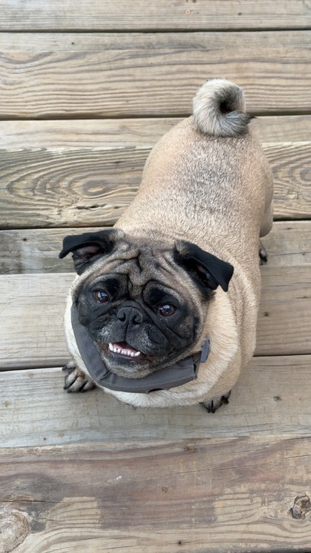 Roscoe