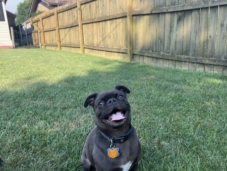 Tater