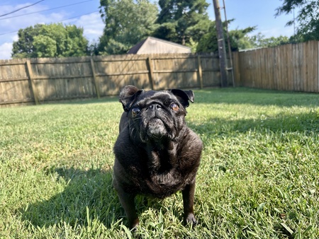 Margo