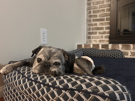 Dixie