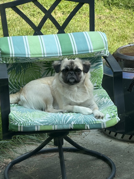 Milo
