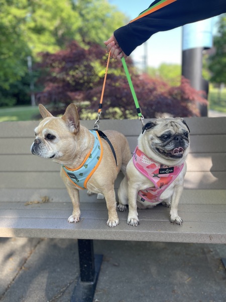 Zoe & Pea