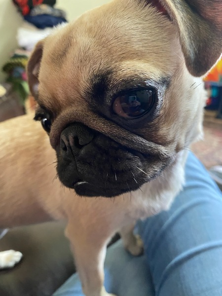 Lola Jean