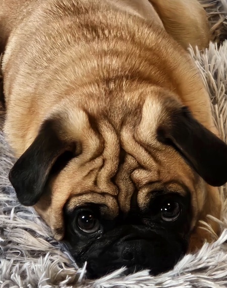 Baxter
