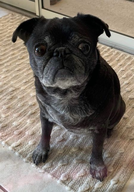 Mia