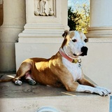 Entry image for Shanti