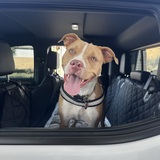 Entry image for Sunny