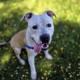 Entry image for Tuck