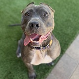 Entry image for Stormy