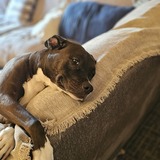 Entry image for Jada