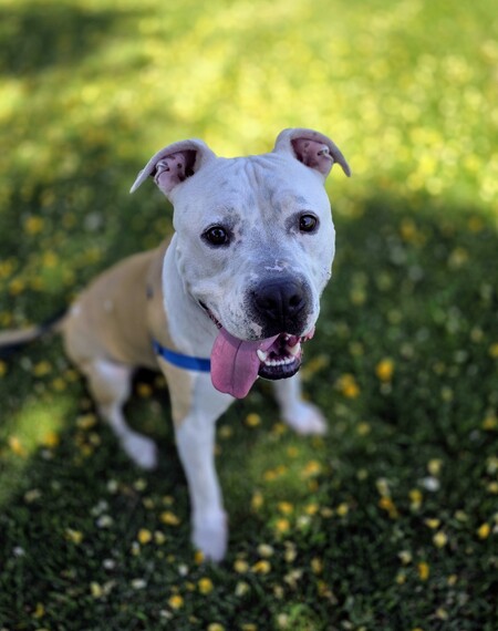 Entry image for Tuck. Clicking this image will show a larger photo