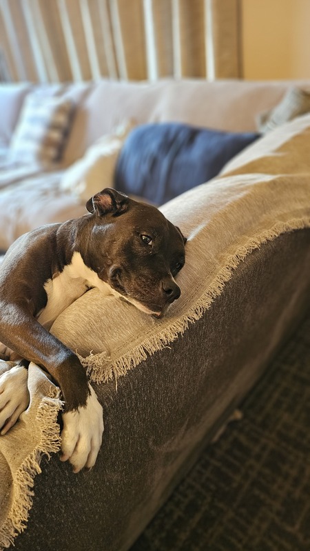 Entry image for Jada. Clicking this image will show a larger photo