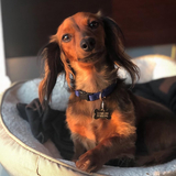 Entry image for Charlie