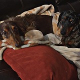 Entry image for Geronimo and Sancho