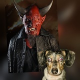 Entry image for Buster AKA Satan