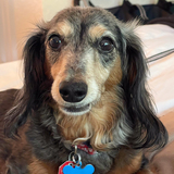 Entry image for Miss Sophie