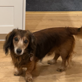 Entry image for Jake