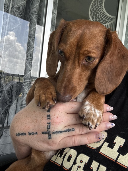Penny
