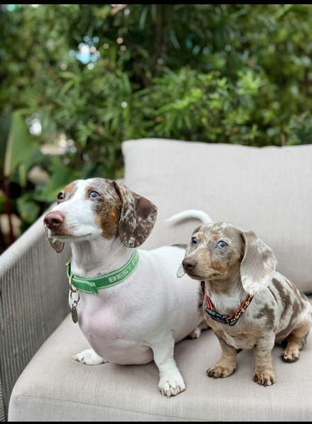 Daisy May & Kandi Lu