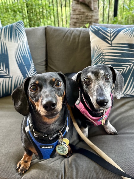 Cooper & Mandi