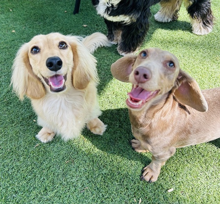 Ivy and Lyla 