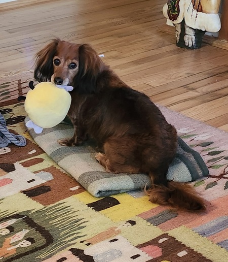 Winnie
