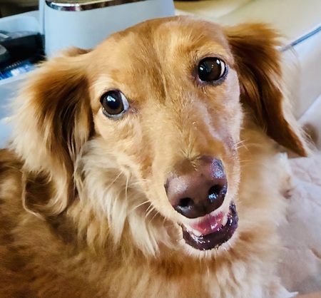 Bella
