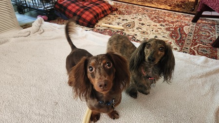 Alex and Abby
