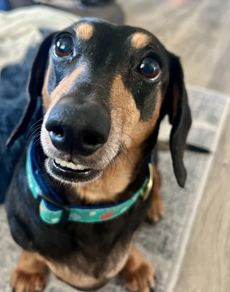Tyson